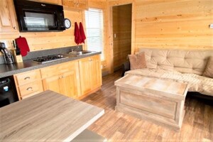 Two Bedroom Cabin Photo 3