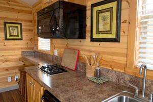 Studio Cabin With Jetted Tub Photo 4
